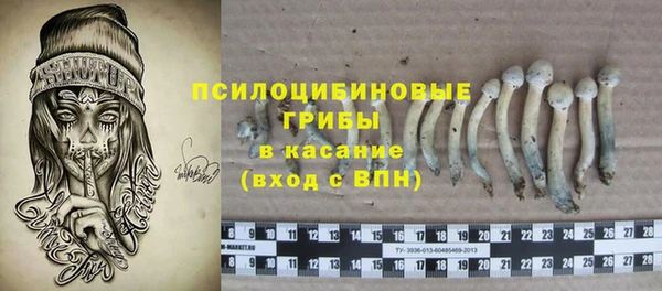 jwh Белокуриха