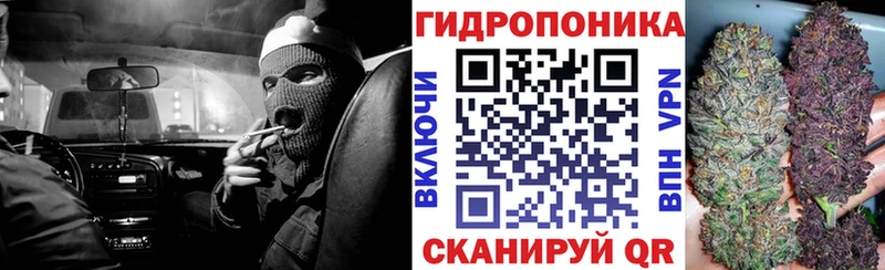 Купить закладки  Ефремов  Конопля гибрид 
